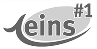 EINS logo